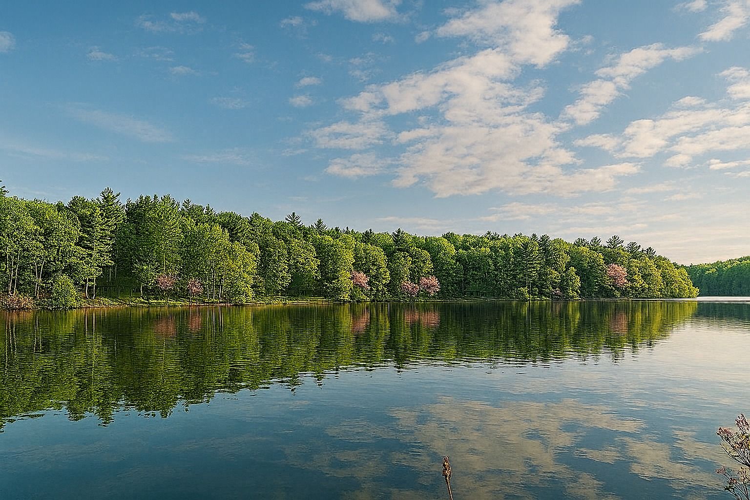 Deer Lake photo 1