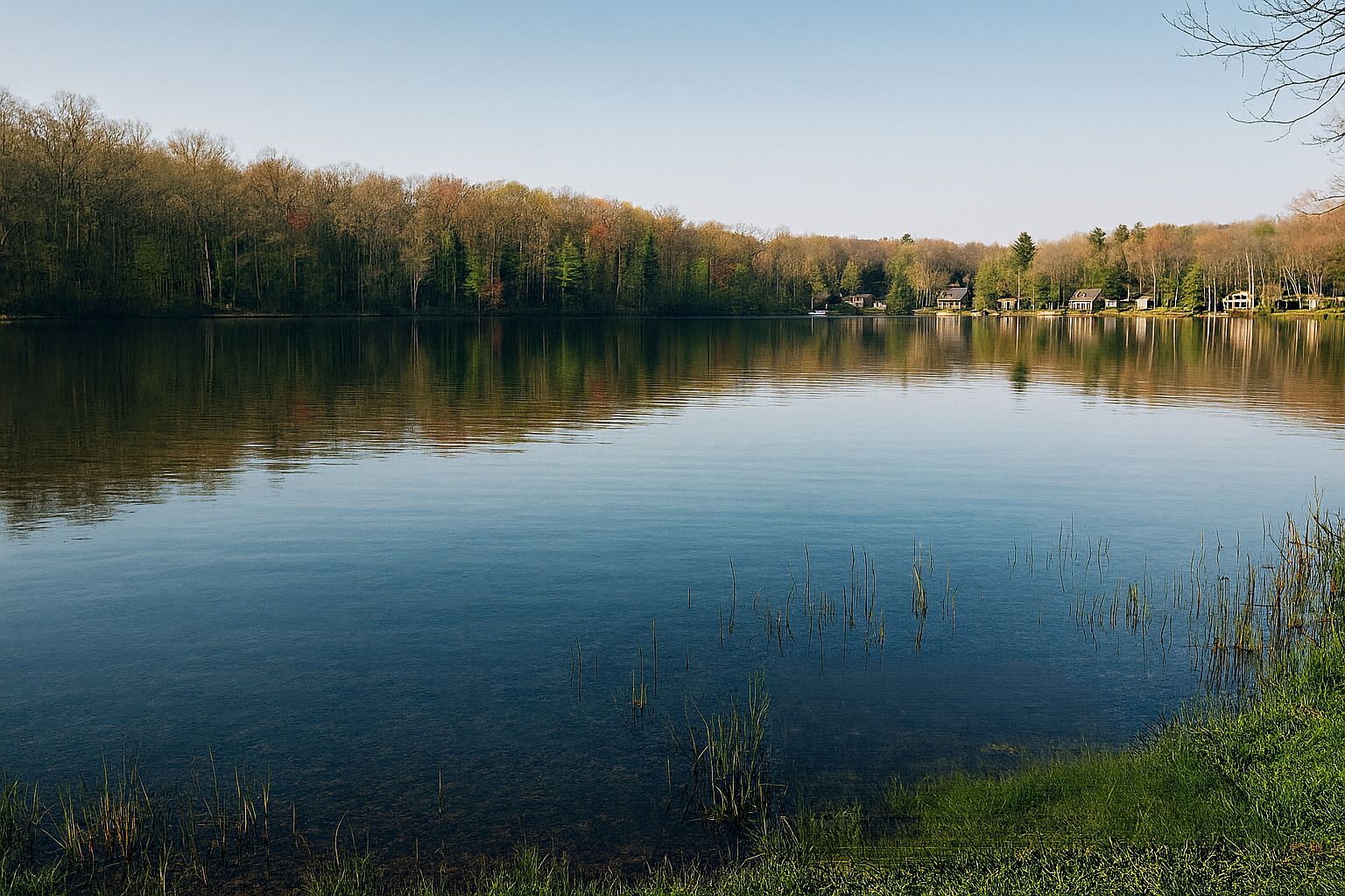 Greening Lake photo 1
