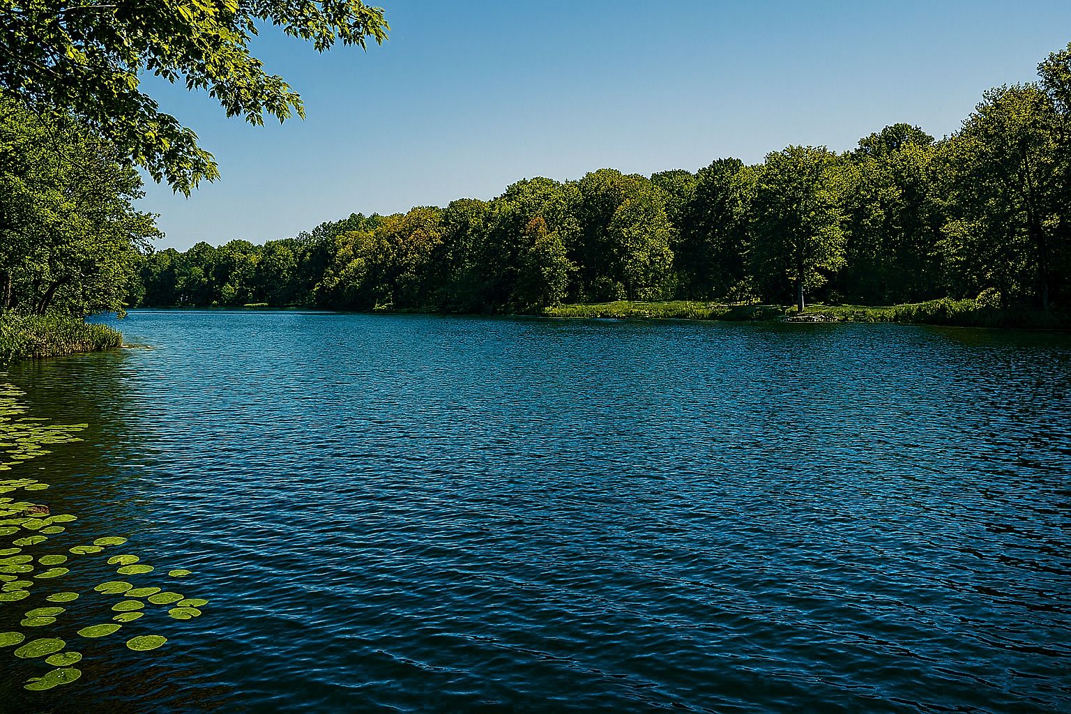 Sheffer Lake photo 1